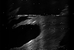 ascat_grayscale_ch6.png